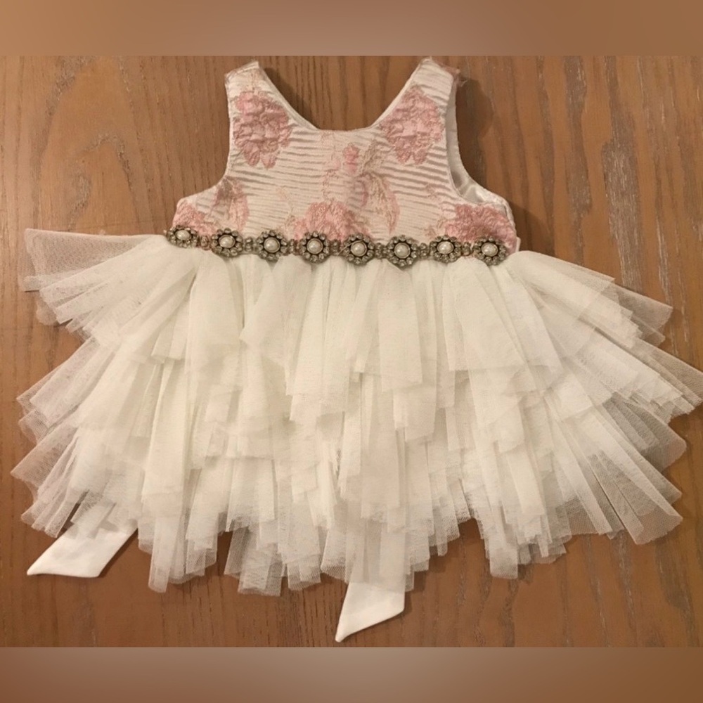 American Princess Pink and White Layered Tulle Dress - Picture 2 of 4